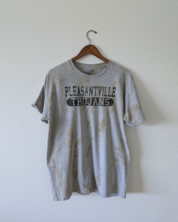 Pleasantville Trojans Tee (Gildan)