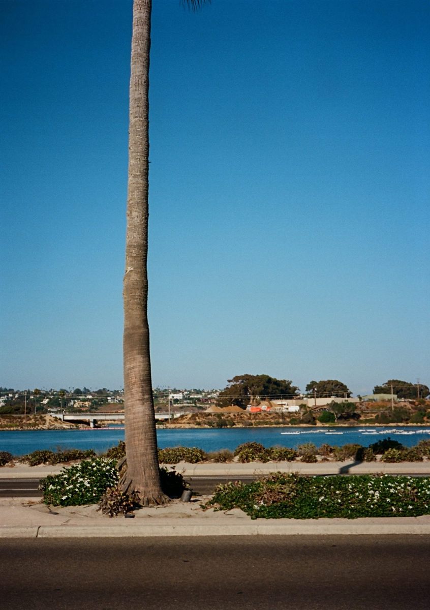 Carlsbad Blvd, plate 123