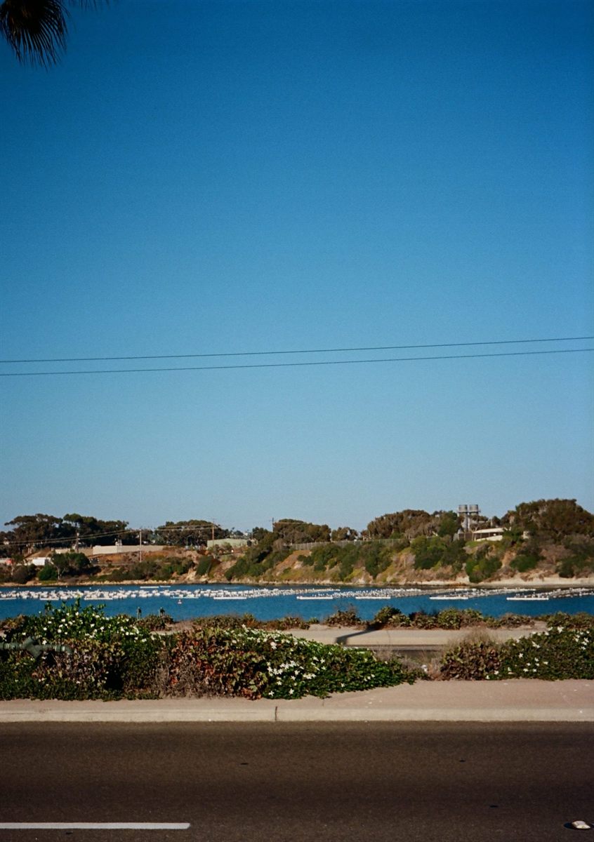 Carlsbad Blvd, plate 127