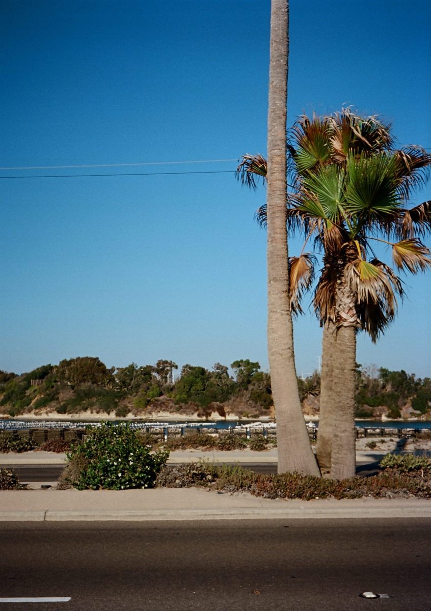 Carlsbad Blvd, plate 130