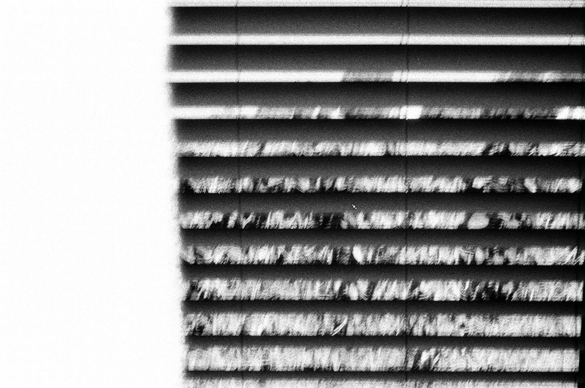 First of the Roll, plate 3