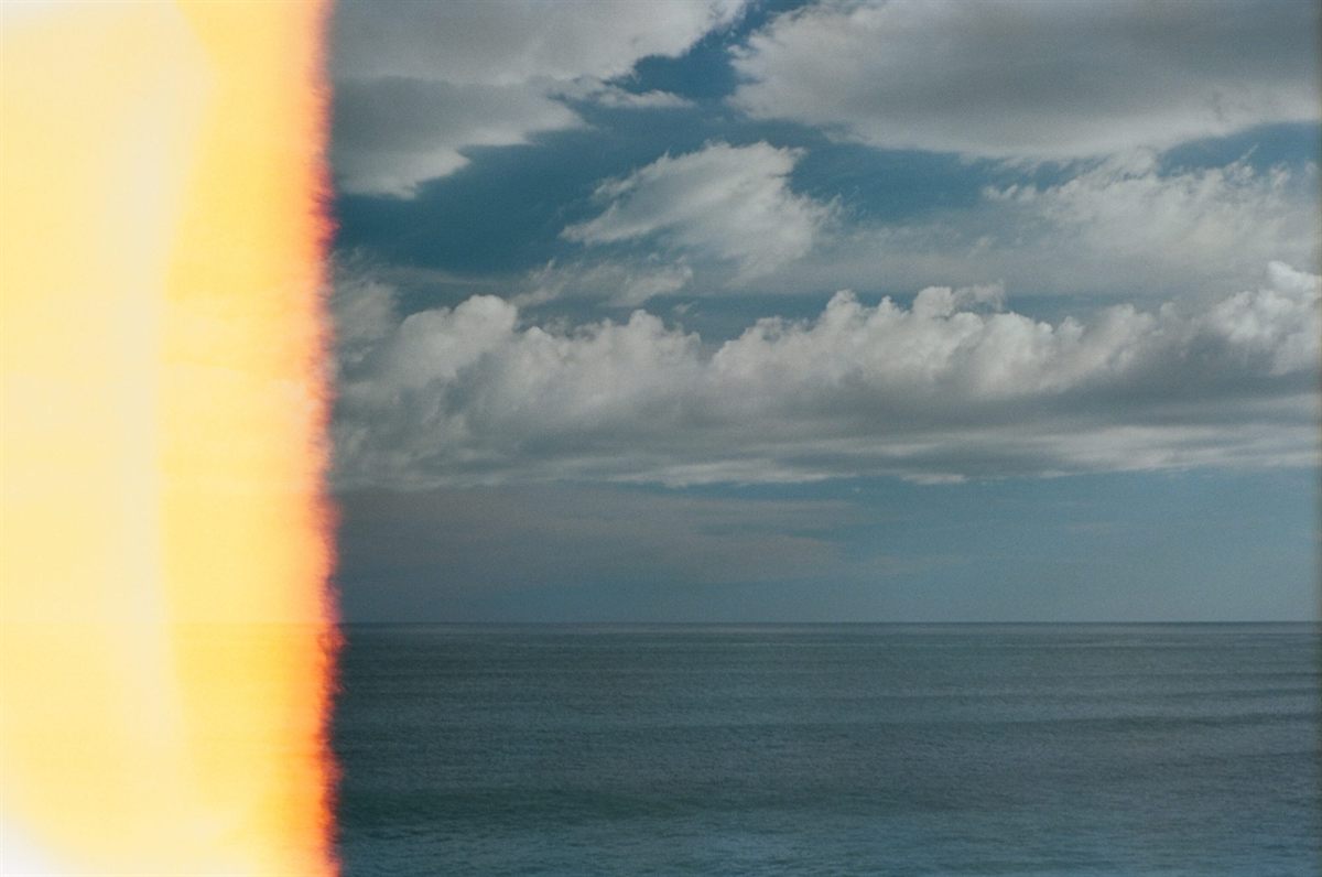 First of the Roll, plate 9