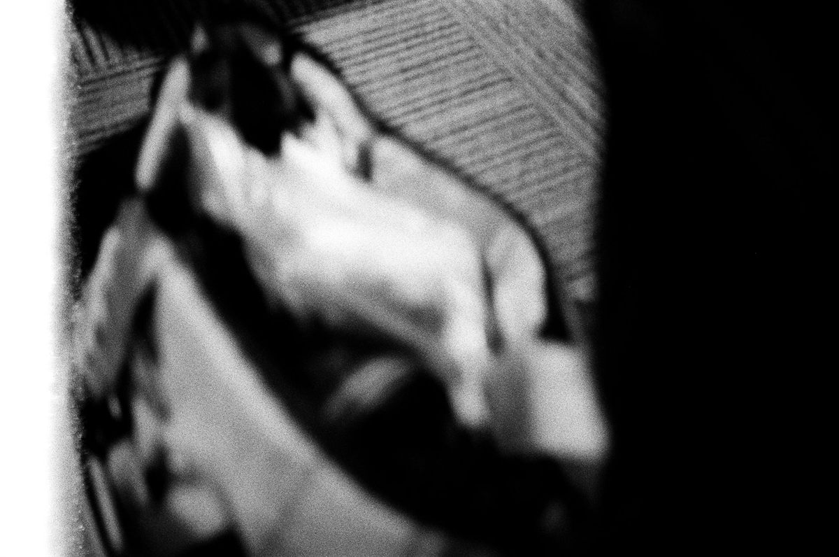 First of the Roll, plate 12