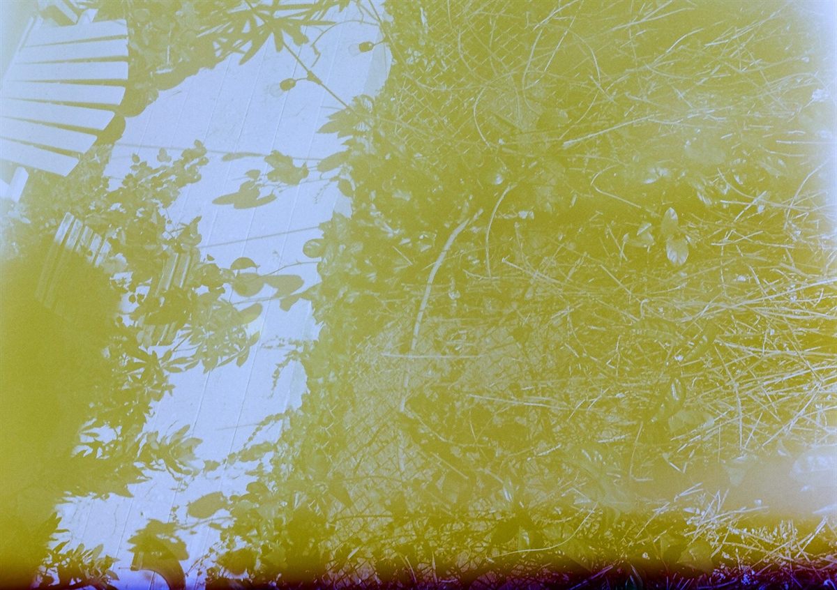 First of the Roll, plate 14