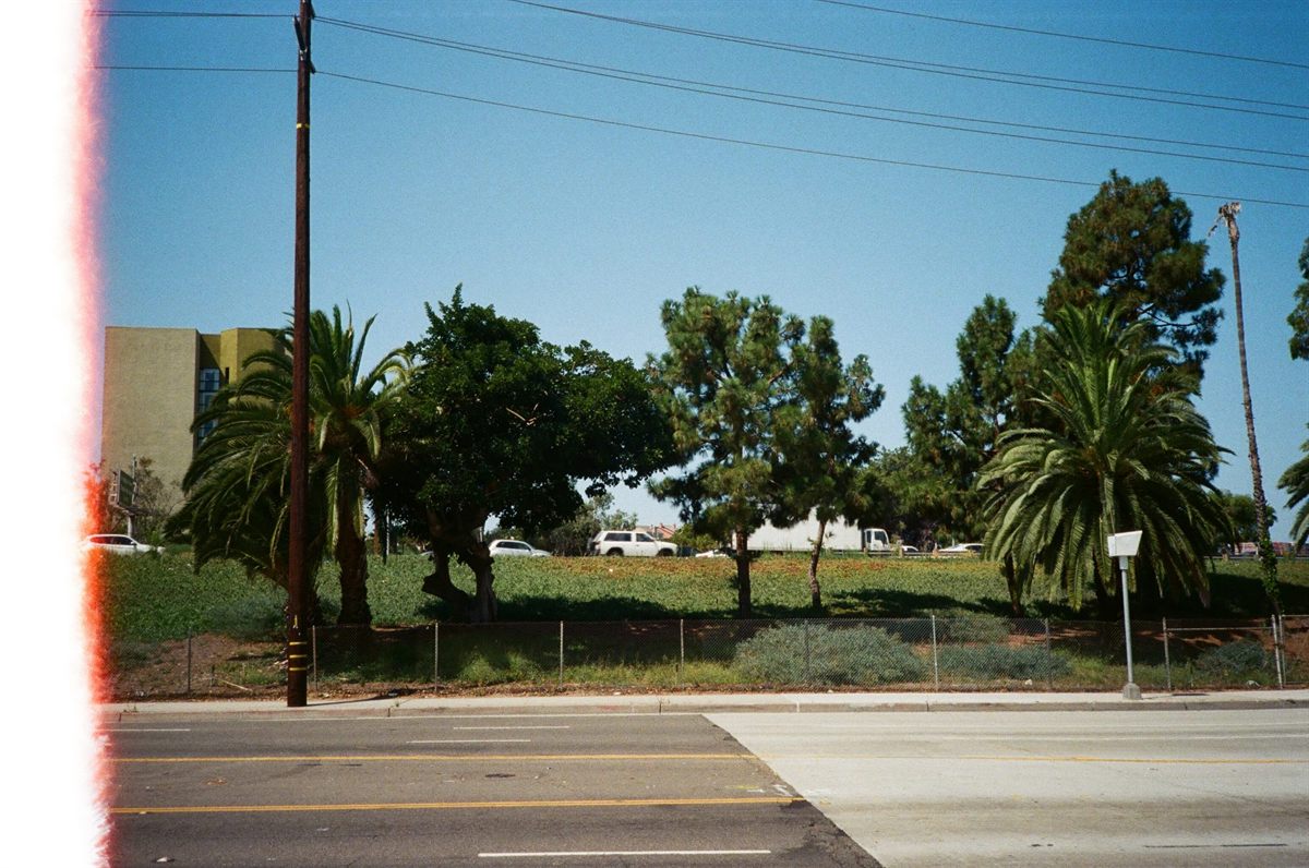 First of the Roll, plate 15