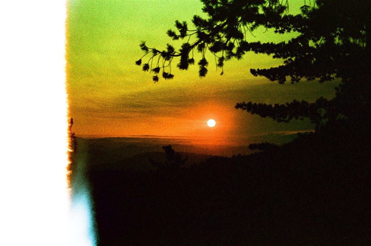 First of the Roll, plate 18