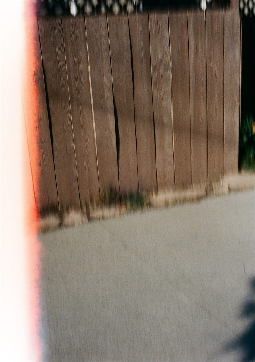 First of the Roll, plate 21