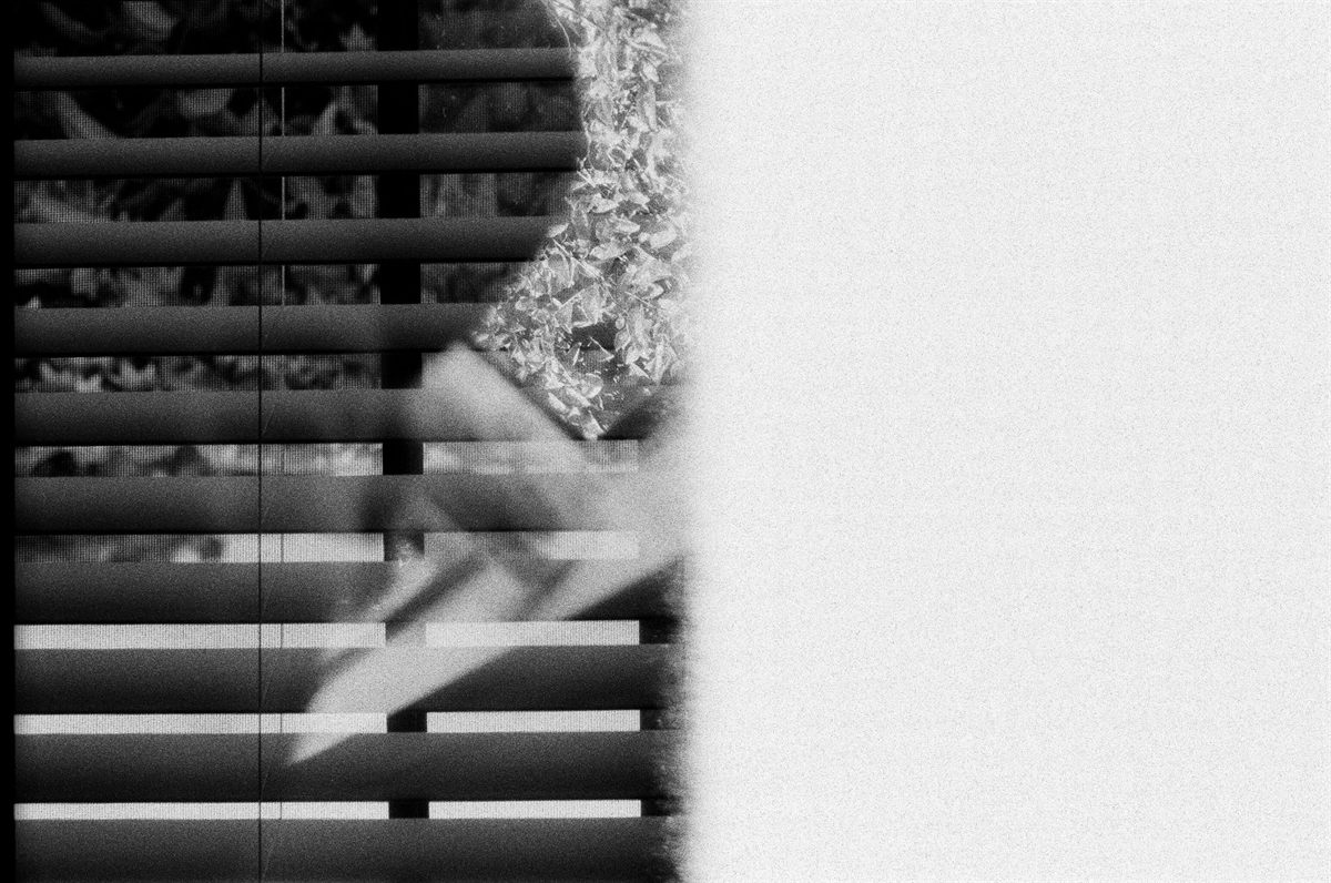 First of the Roll, plate 25