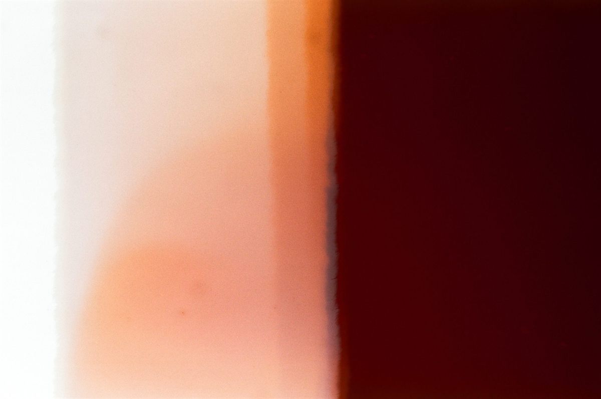 First of the Roll, plate 36