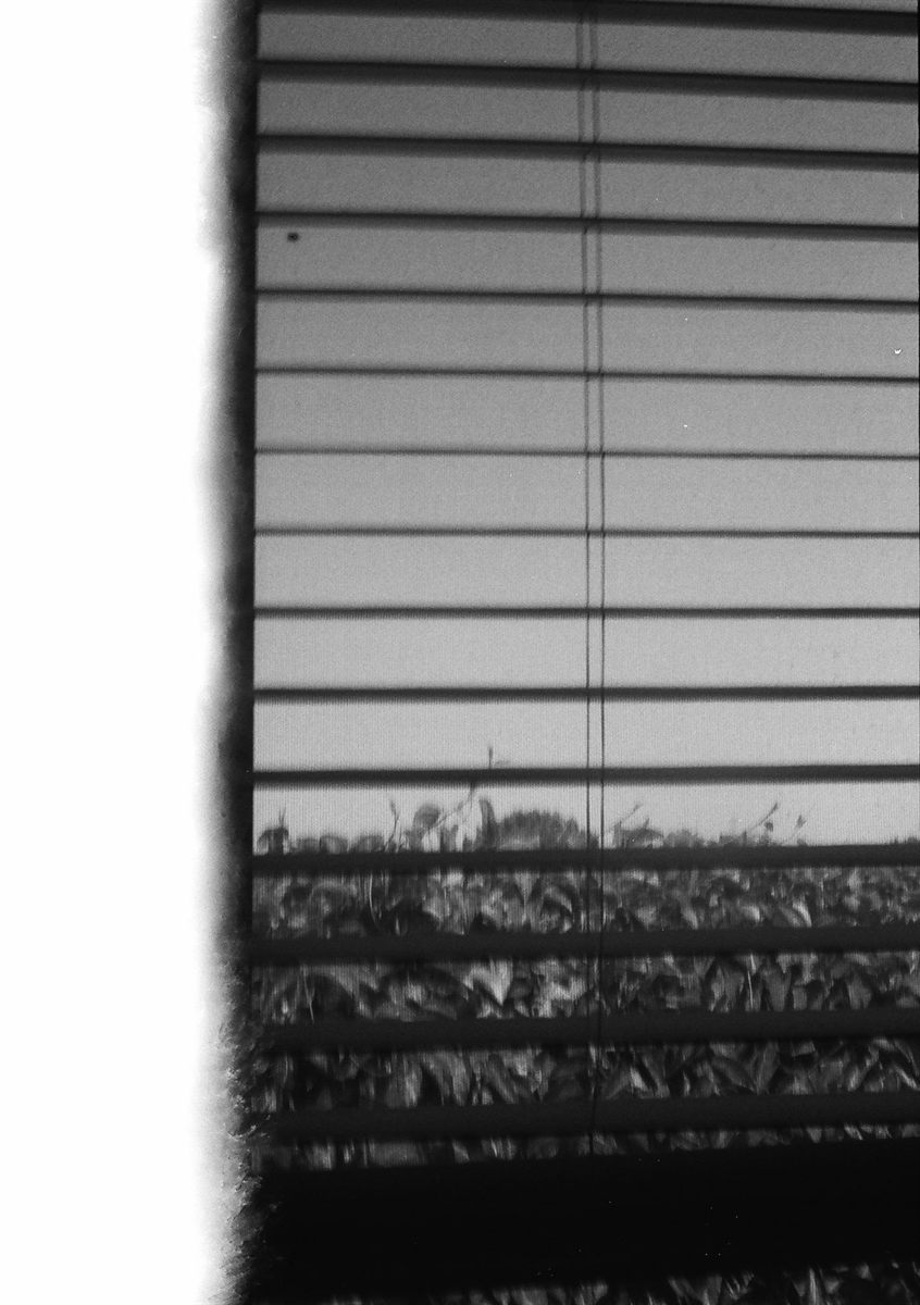 First of the Roll, plate 38
