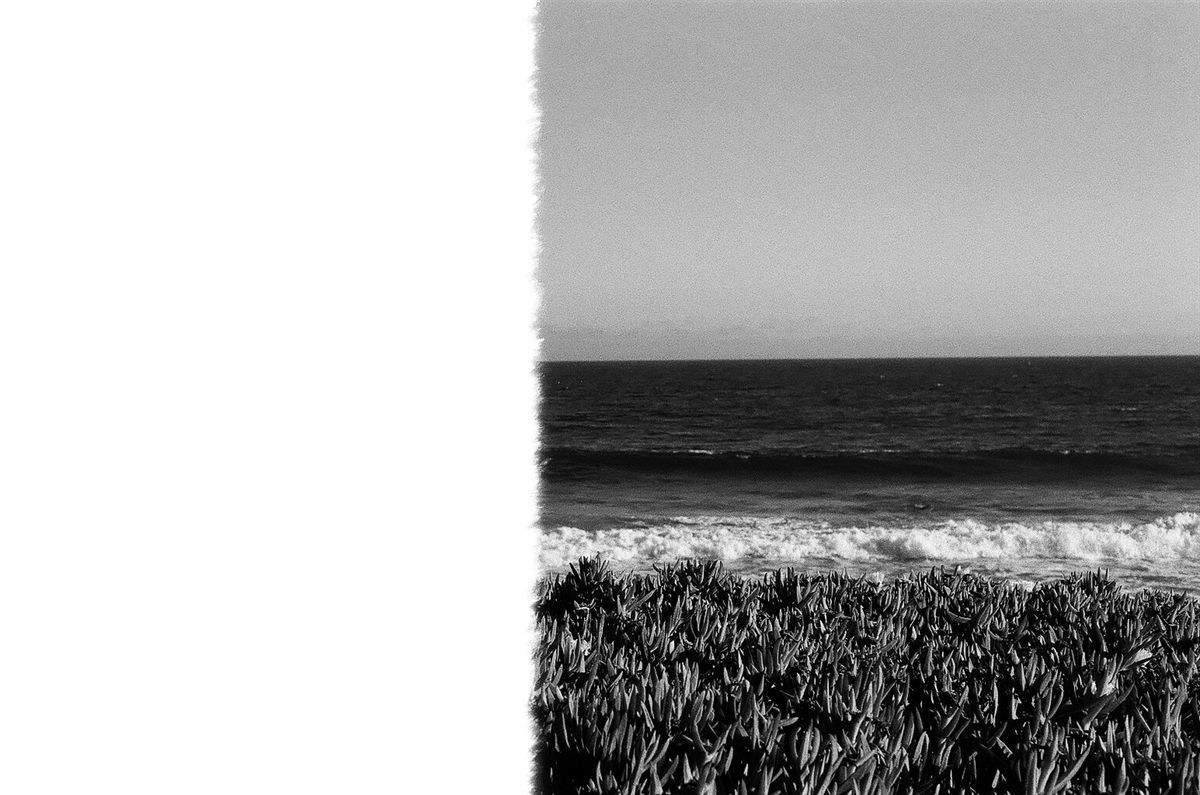 First of the Roll, plate 40