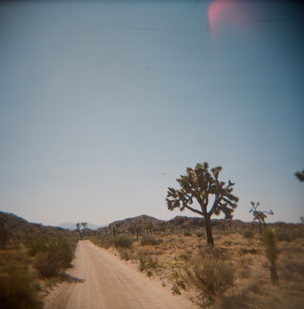 Idyll Vision, plate 22