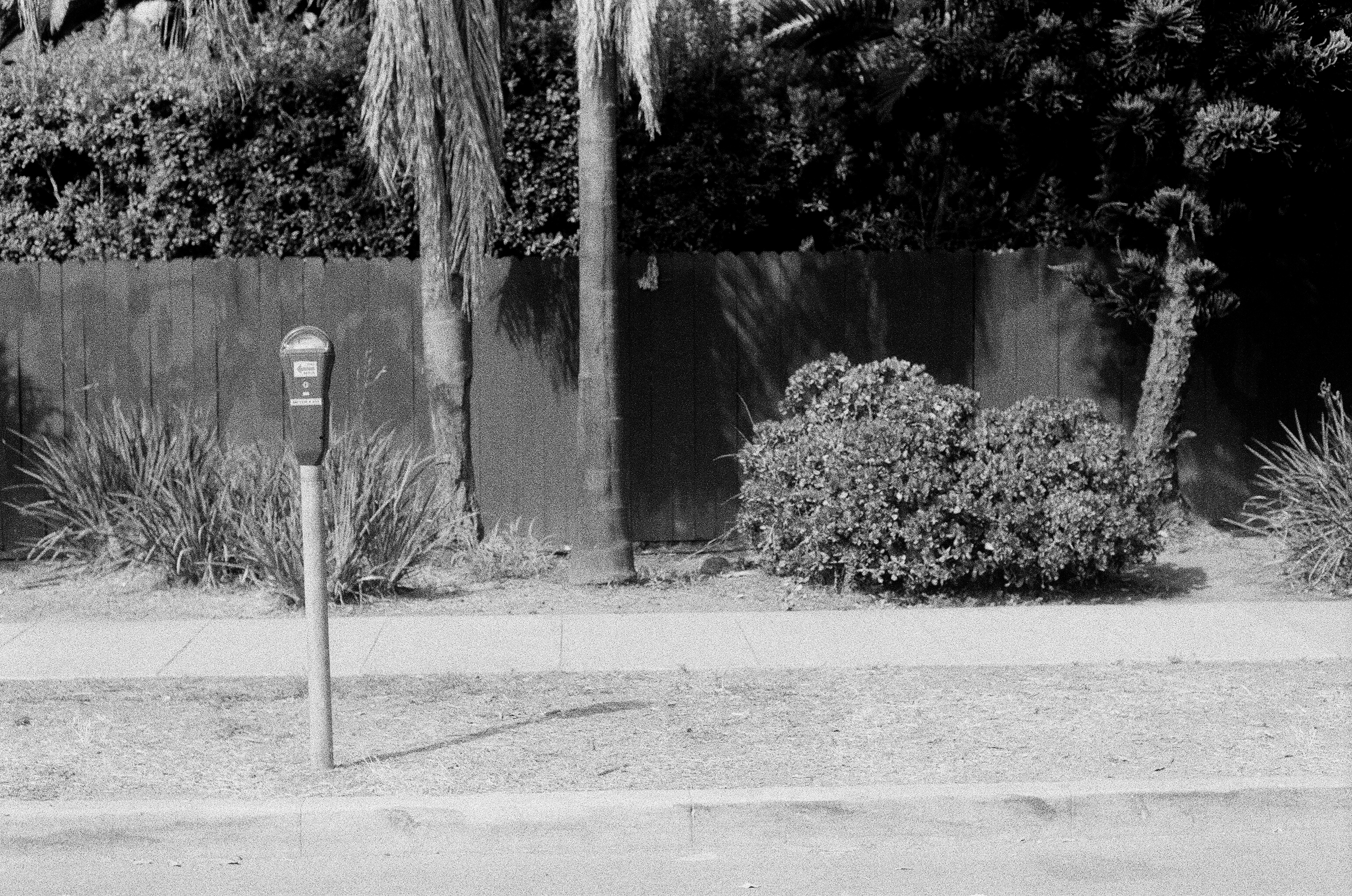 June Gloom, plate 2