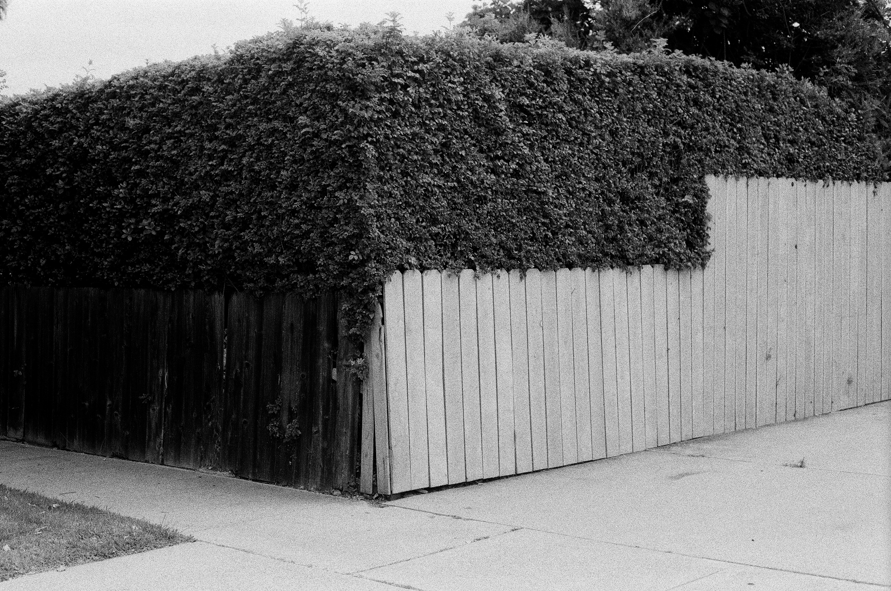 June Gloom, plate 13