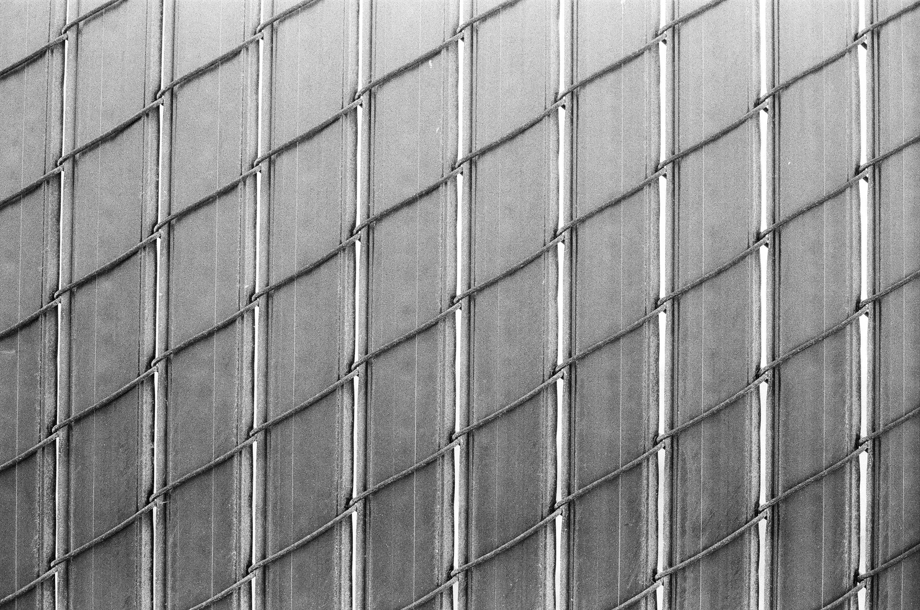 June Gloom, plate 17