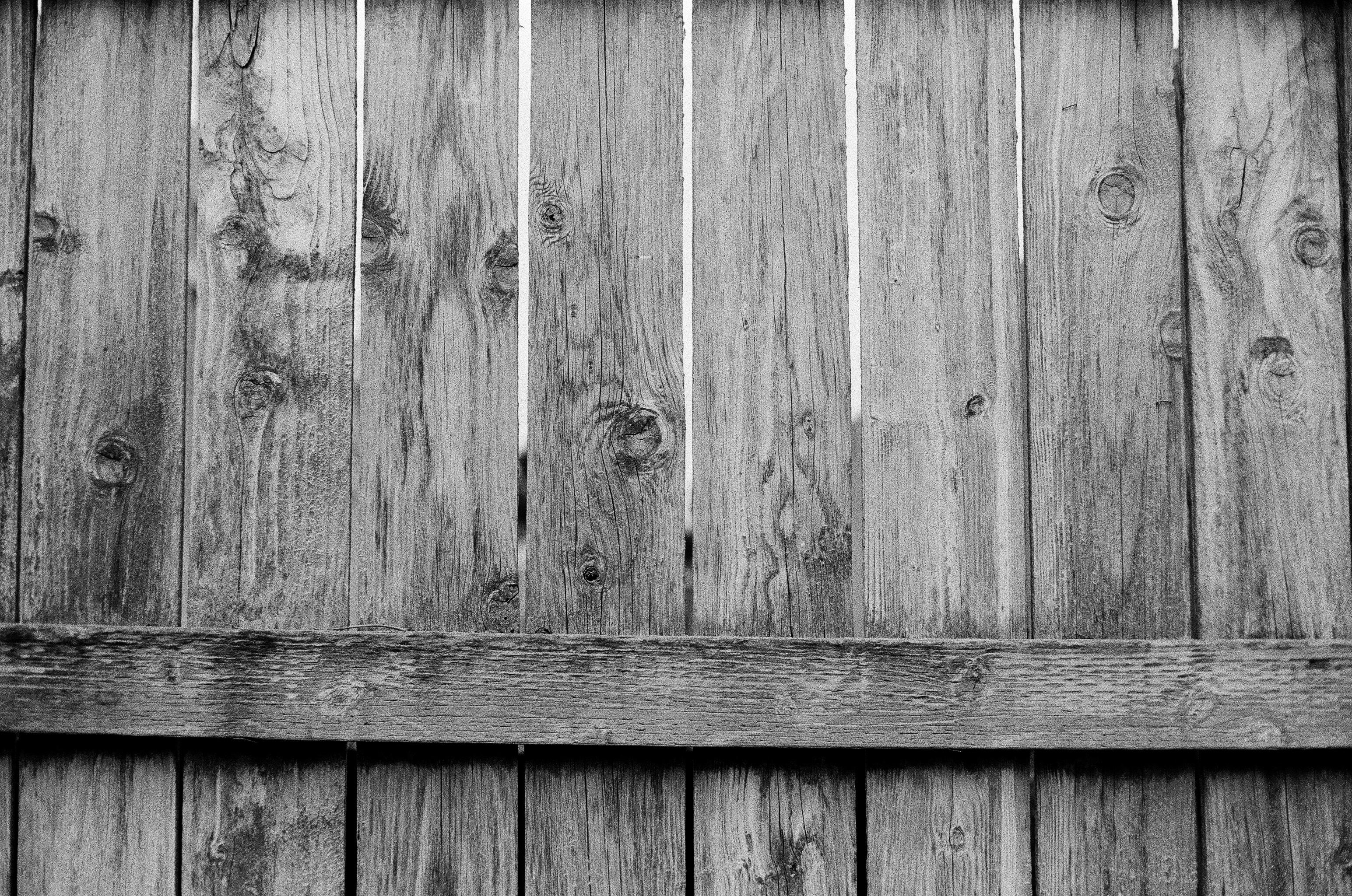 June Gloom, plate 19