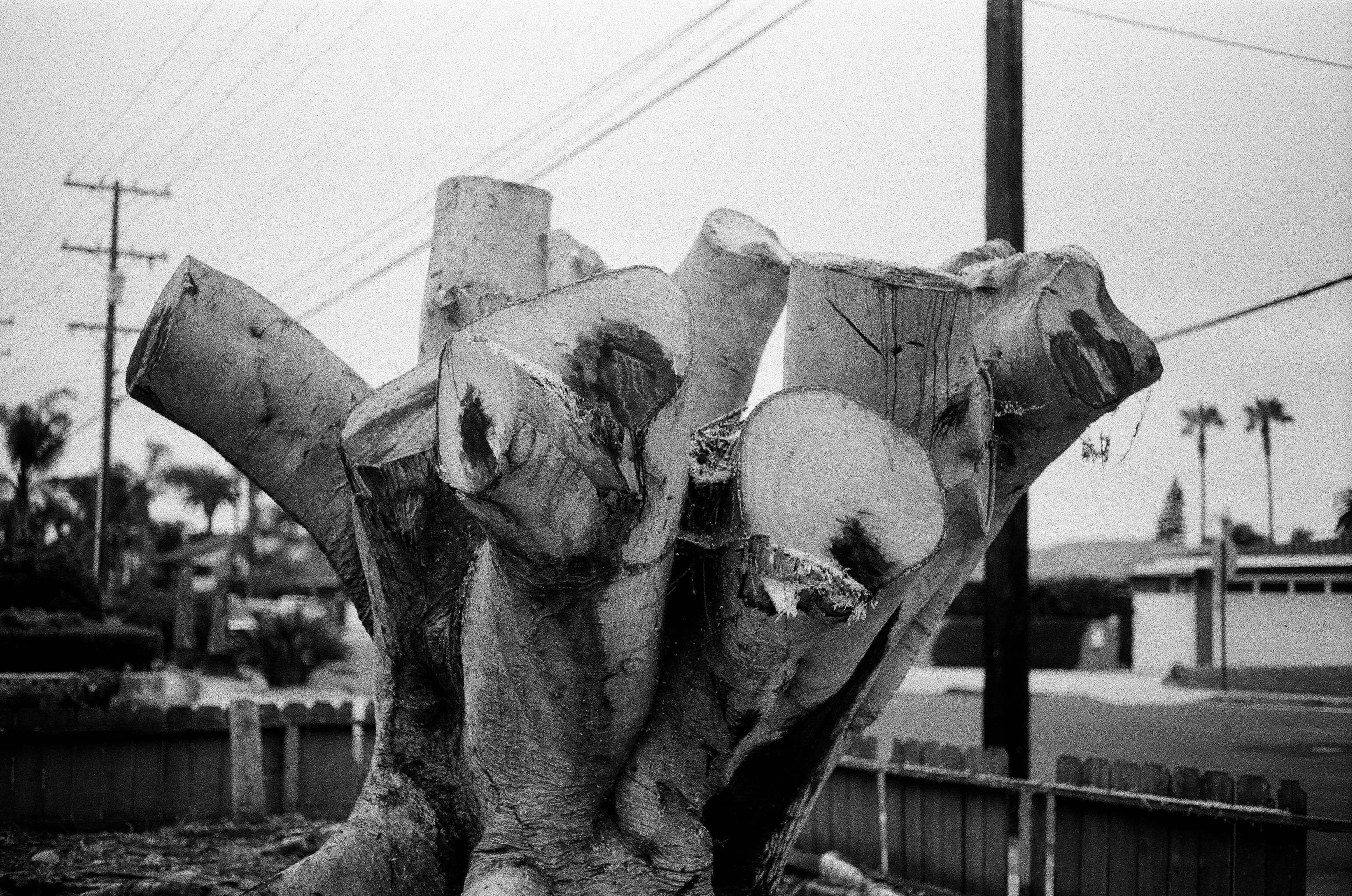 June Gloom, plate 20
