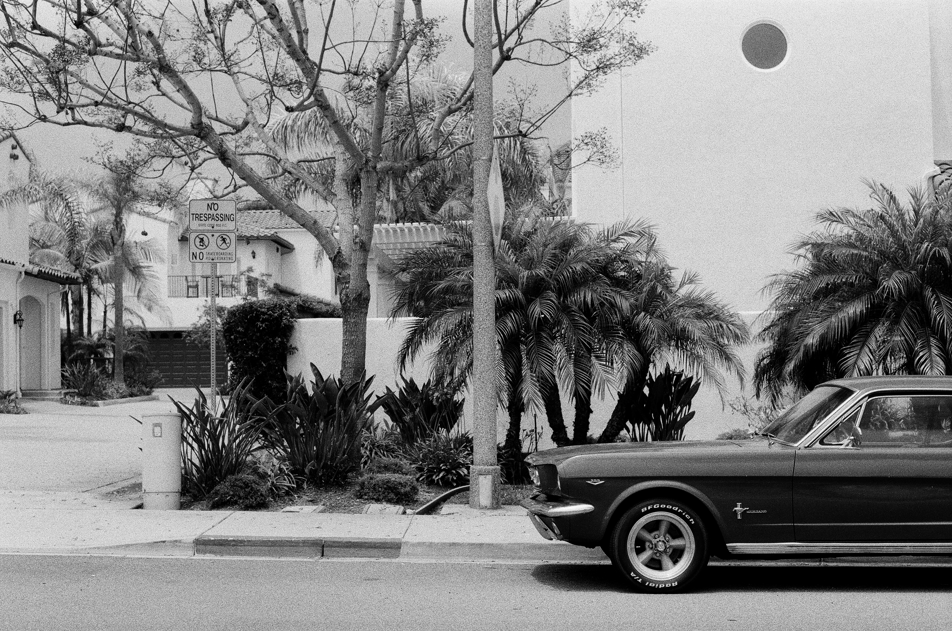 June Gloom, plate 24
