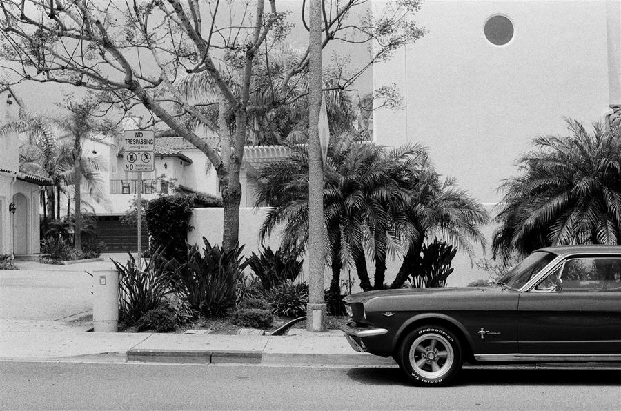 June Gloom, plate 24