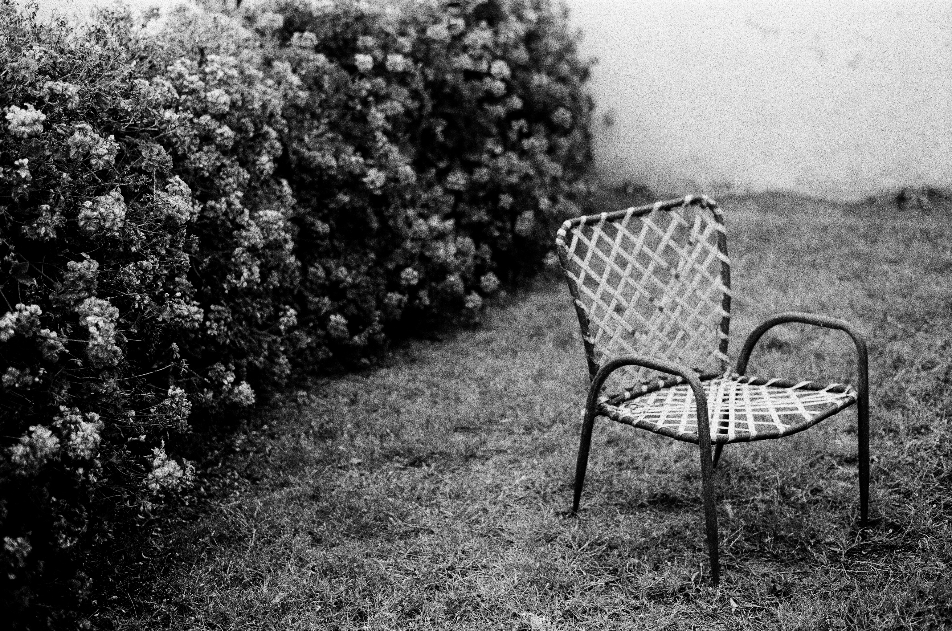 June Gloom, plate 26