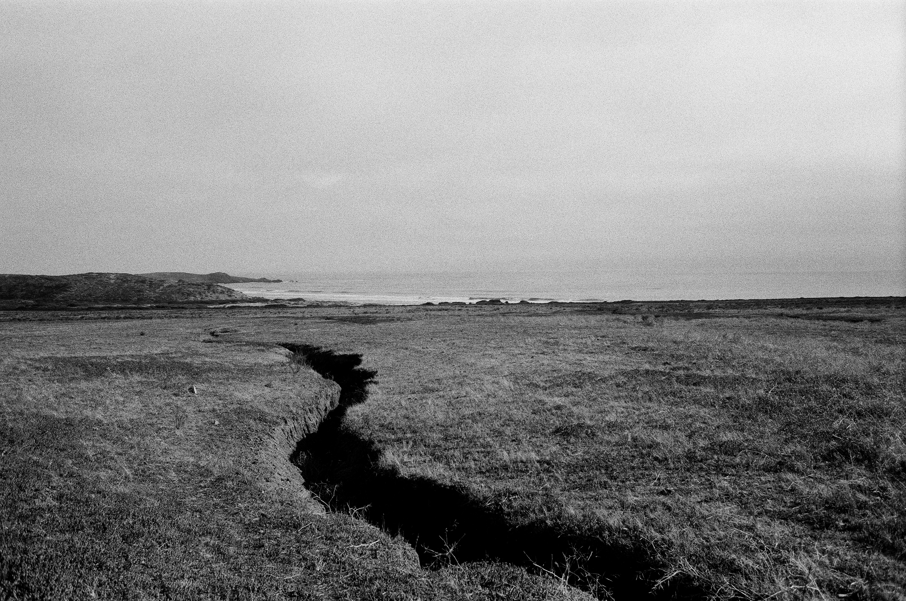 June Gloom, plate 38
